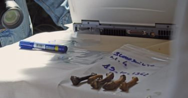 Quei 34 scheletri del Poggio