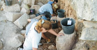 Montfort e i Cavalieri Teutonici