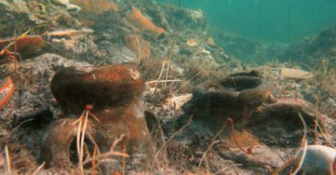 Antiche navi: croce e delizia di archeologi e restauratori