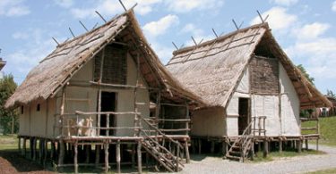 Modena. Vita e morte nelle terramare