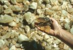 Silica Glass. Quel favoloso vetro del deserto