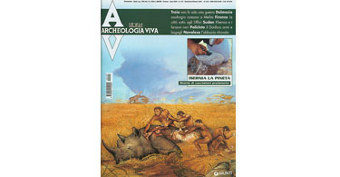 copertina rivista archeologia viva 107