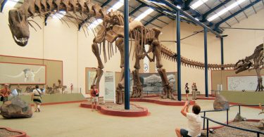 dinosauri in Argentina
