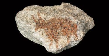 sciamano