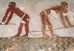 Egitto. Necropoli di el-Hawawis