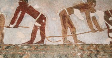 Egitto. Necropoli di el-Hawawis