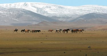 Caricato in Gli Avari europei, quei guerrieri venuti dall’Est