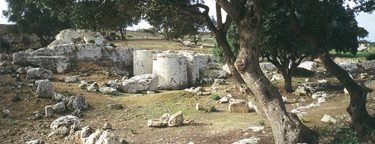 Cave di Cusa: storie di pietra per Selinunte
