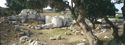 Cave di Cusa: storie di pietra per Selinunte