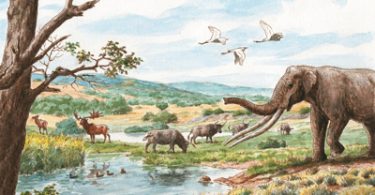 Allumiere. I monti della Tolfa prima di homo sapiens