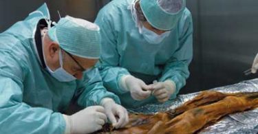 I segreti di Otzi