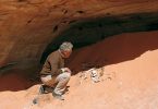 Fratelli Castiglioni - Alla ricerca della terra di Amu