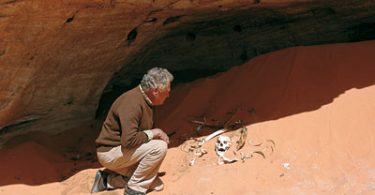 Fratelli Castiglioni - Alla ricerca della terra di Amu