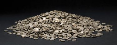 Due volti del sacro: pagani e cristiani a Seppannibale