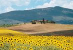 Sul Monte Cetona alla ricerca dell’Uomo