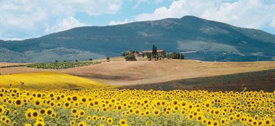 Sul Monte Cetona alla ricerca dell’Uomo