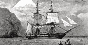 Darwin e la specie umana