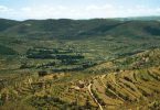 L’aratro e il torchio: gli Etruschi agricoltori