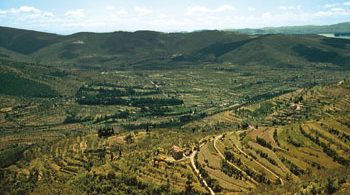 L’aratro e il torchio: gli Etruschi agricoltori