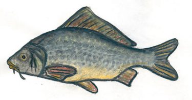 Soffumbergo: a tavola con il Patriarca