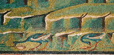 In difesa del pollo sultano