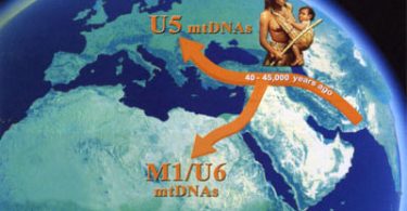 migrazioni dall'africa