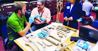 marchi eccezionale scoperta