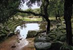 scoperte sardegna civiltà nuragica