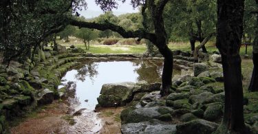 scoperte sardegna civiltà nuragica