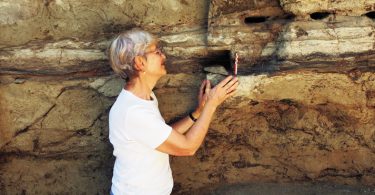 Voce della Storia Archeologia 185