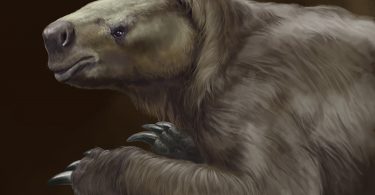 Ricostruzione del bradipo gigante Glossotherium robustum