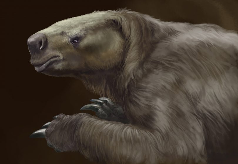 Ricostruzione del bradipo gigante Glossotherium robustum