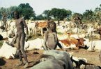 Scorcio di un accampamento stagionale. Pastori e animali vivono insieme all’interno di un ampio recinto realizzato per difendersi dai predatori. Agli arbusti vengono appesi le derrate e tutti gli oggetti della vita quotidiana per metterli al riparo da capre e parassiti.