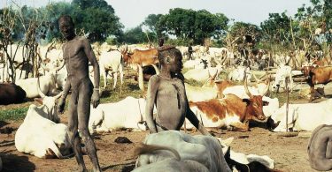 Scorcio di un accampamento stagionale. Pastori e animali vivono insieme all’interno di un ampio recinto realizzato per difendersi dai predatori. Agli arbusti vengono appesi le derrate e tutti gli oggetti della vita quotidiana per metterli al riparo da capre e parassiti.