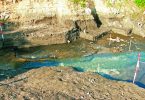 Tutti alle terme! Elefanti e Neanderthal in Maremma