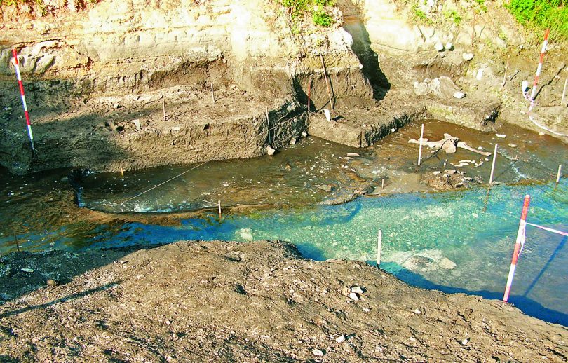 Tutti alle terme! Elefanti e Neanderthal in Maremma