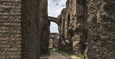 Le architetture monumentali del complesso severiano sul Palatino a Roma